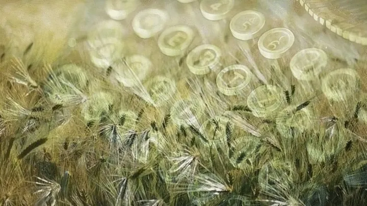 field of grain blended with image of old typewriter keys