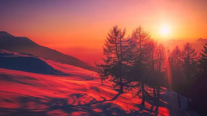 trees casting blue shadows over a snowy landscape glowing red in sunset