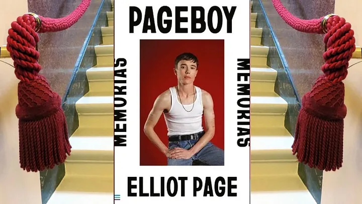 Book cover of Pageboy superimposed on a staircase with red velvet ropes