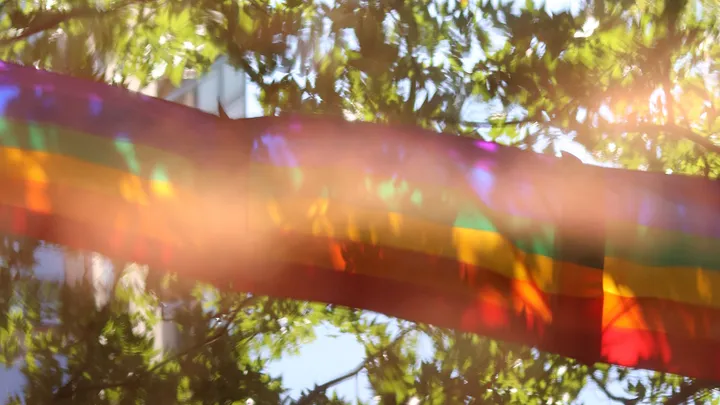 rainbow flag in the trees