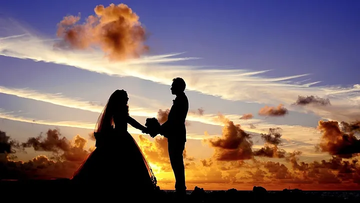 silhouettes of a bridal couple